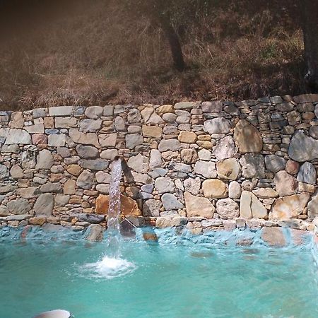 L'Ulivoimperfetto Daire Buti Dış mekan fotoğraf