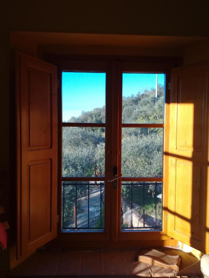 L'Ulivoimperfetto Daire Buti Dış mekan fotoğraf