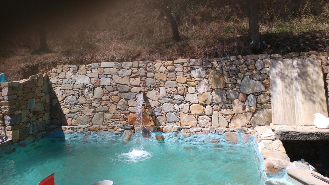 L'Ulivoimperfetto Daire Buti Dış mekan fotoğraf